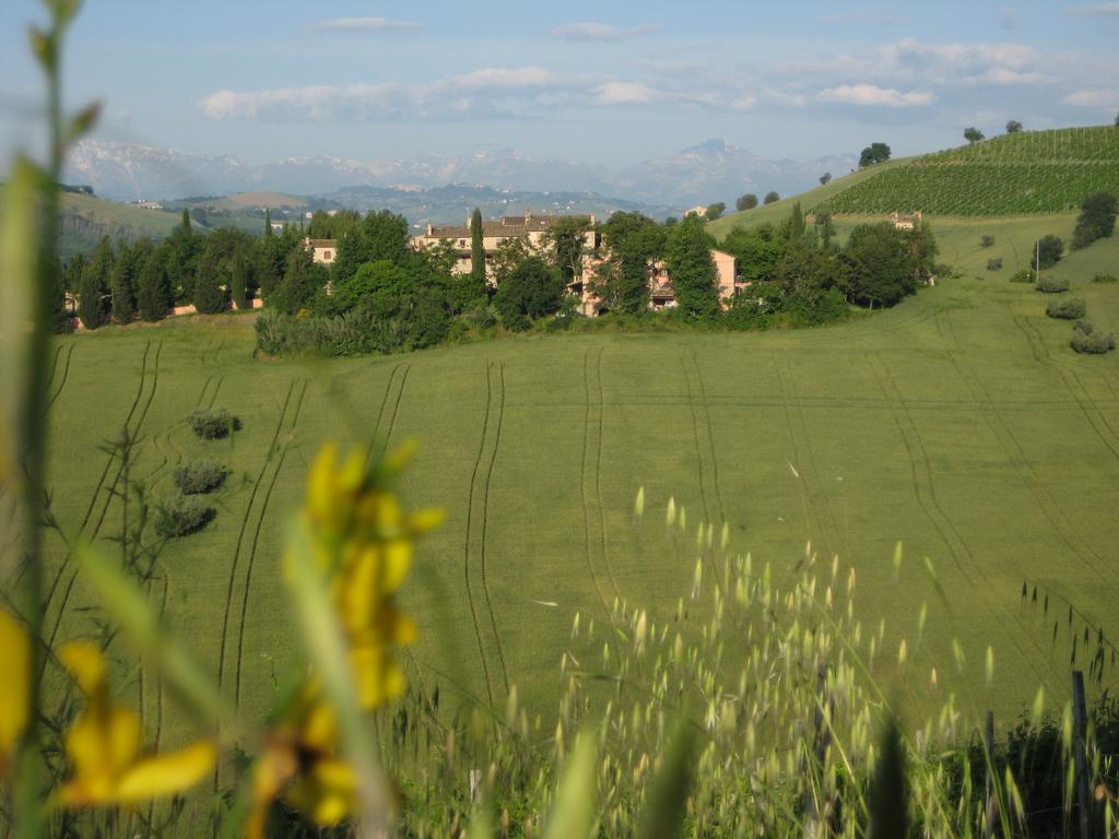 Agriturismo La Campana Villa Montefiore dellʼAso Exterior foto